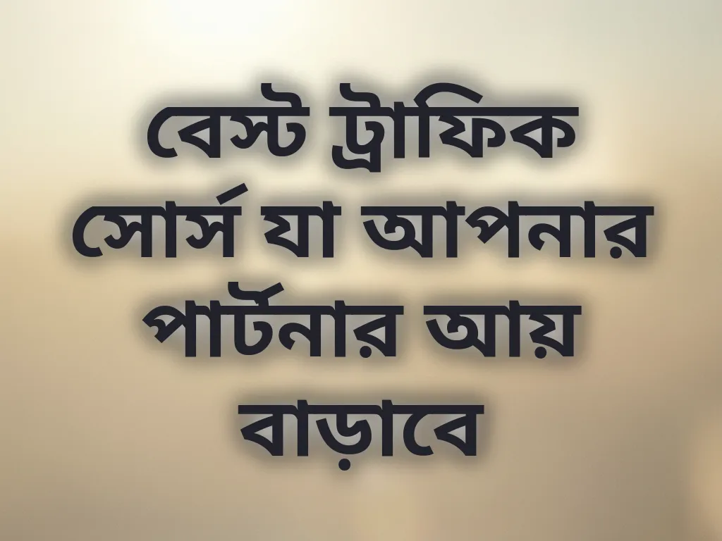 ট্রাফিক সোর্স গাইড